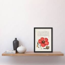 Artery8 Model Book of Calligraphy Framed Wall Art Poppy Snail & Crane Fly in White - Size: A4 - thumbnail 2
