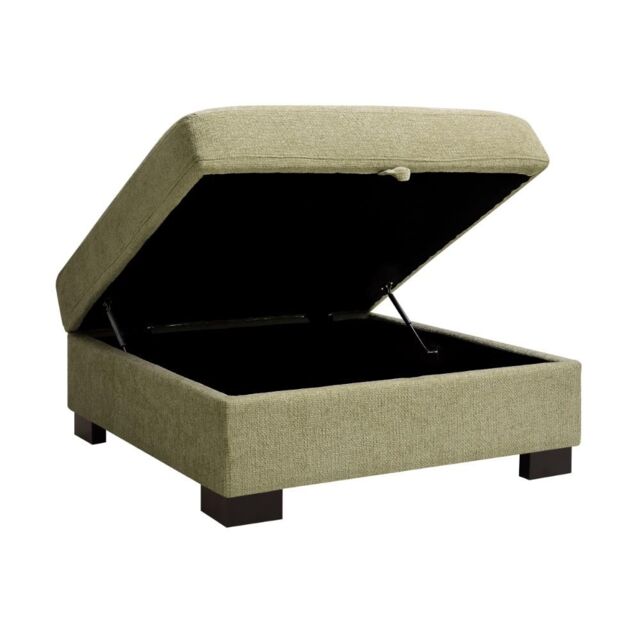 Home Detail Tate Storage Footstool in Light Green - image 1