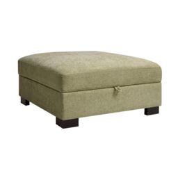 Home Detail Tate Storage Footstool in Light Green - thumbnail 2