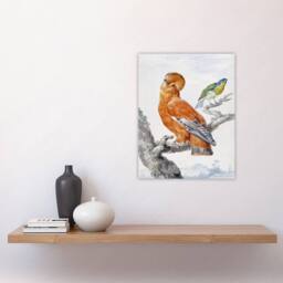 "Artery8 Two Exotic Birds Watercolour Painting Schouman Wall Art Poster Print in White - Size: W12"" x H16""" - thumbnail 4