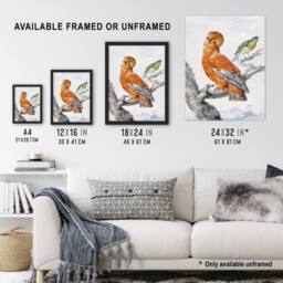 "Artery8 Two Exotic Birds Watercolour Painting Schouman Wall Art Poster Print in White - Size: W12"" x H16""" - thumbnail 3