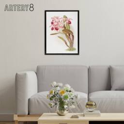 "Artery8 Frederick Sander Cattleya Lawrenceana Orchid Flowers Framed Canvas Art - Size: W12"" x H16""" - thumbnail 3