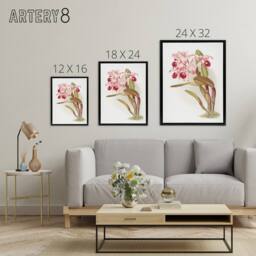 "Artery8 Frederick Sander Cattleya Lawrenceana Orchid Flowers Framed Canvas Art - Size: W12"" x H16""" - thumbnail 4