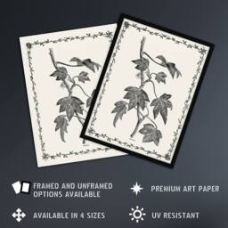 "Artery8 Vintage Botanical Pustulata Leaves Hibberd Wall Art Poster Print in White - Size: W12"" x H16""" - thumbnail 2