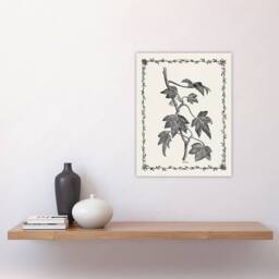 "Artery8 Vintage Botanical Pustulata Leaves Hibberd Wall Art Poster Print in White - Size: W12"" x H16""" - thumbnail 4