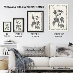 "Artery8 Vintage Botanical Pustulata Leaves Hibberd Wall Art Poster Print in White - Size: W12"" x H16""" - thumbnail 3