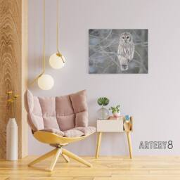 "Artery8 Barred Owl Strix Varia Bird On Branch Canvas Wall Art Print in Grey - Size: W18"" x H24""" - thumbnail 3