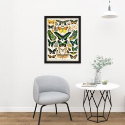 "Artery8 Wall Art Print Millot Encyclopedia Page Moths Butterflies Large Framed Wall Décor Art in Light Oak - Size: W18"" x H24""" - thumbnail 2