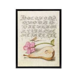 "Artery8 Mayfly Red Campion & Pear Calligraphy Framed Canvas Wall Art Print in Beige - Size: W18"" x H24""" - thumbnail 1