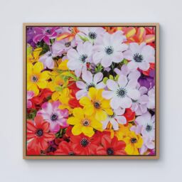 "Warren Reed - Designer Spring Flowers Framed Canvas in Light Brown - Size: W30"" x H30""" - thumbnail 1