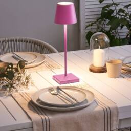 Wyld and Coco Pink Aluminium Table Lamp - Touch Dimmer with USB Charging