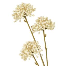 Hill Interiors Allium Spray Artificial Flower in Cream - thumbnail 3