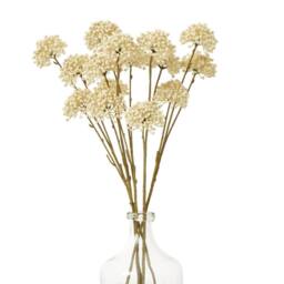 Hill Interiors Allium Spray Artificial Flower in Cream - thumbnail 4