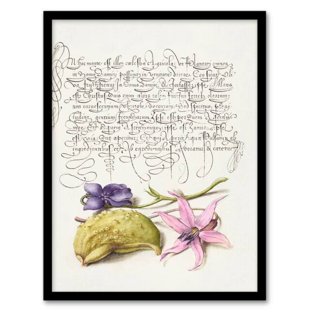 Artery8 Model Book of Calligraphy Framed Wall Art Violet Blooms & Gourd in White - Size: A4 - image 1
