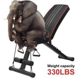 NESTLUNE Foldable Weight Bench Adjustable Strength Training FullBody in Black - Size: 0-18 m - thumbnail 2