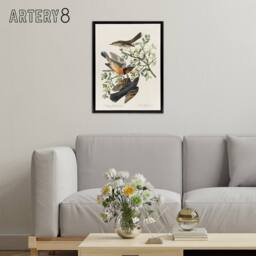 "Artery8 Mountain Mocking Bird & Thrush Audubon Nature Framed Canvas Wall Art in White - Size: W12"" x H16""" - thumbnail 3