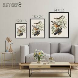 "Artery8 Mountain Mocking Bird & Thrush Audubon Nature Framed Canvas Wall Art in White - Size: W12"" x H16""" - thumbnail 4