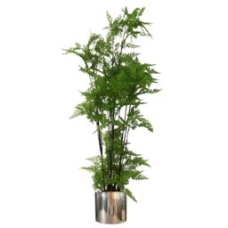 Leaf 150cm Artificial Moss Base Fern Foliage Plant with Silver Metal Plater in Green