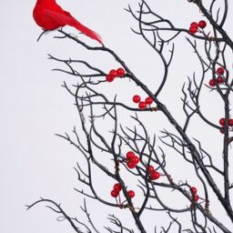 Smartbies 150cm Pre Lit LED Twig Birch Christmas Tree Lamp with Red Birds in Black - Size: 150 cm x 15 cm - thumbnail 8