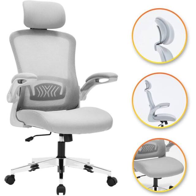 EONLION Grey, Model 751 Ergonomic Office Chair for Work & Study Chair in Grey - Size: 100 cm - image 1
