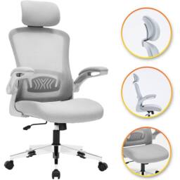 EONLION Grey, Model 751 Ergonomic Office Chair for Work & Study Chair in Grey - Size: 100 cm