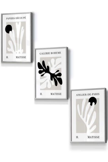 ARTZE Set of 3 Light Grey Framed Matisse Floral Cut Out Style in Black & Beige Wall Art - Size: W53 cm x H73 cm x D20mm - image 1
