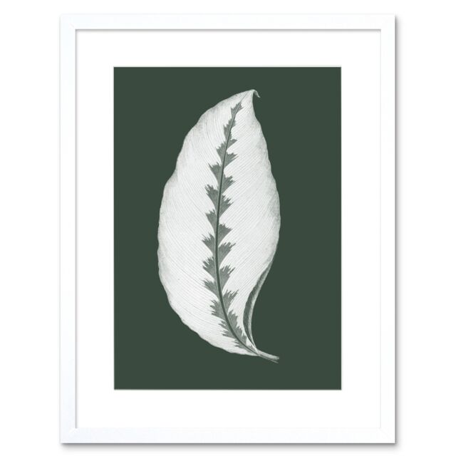 "Artery8 Wall Art Print Botanics Hunter Green Jungle Leaf Art Black Framed 9x7 inch in White - Size: W7"" x H9""" - image 1
