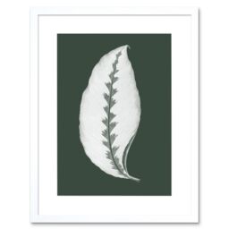 "Artery8 Wall Art Print Botanics Hunter Green Jungle Leaf Art Black Framed 9x7 inch in White - Size: W7"" x H9""" - thumbnail 1