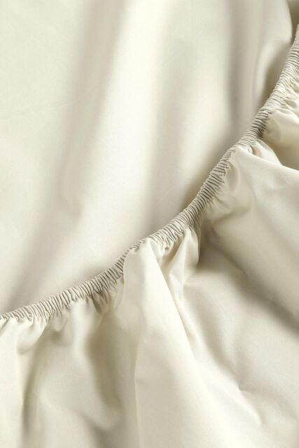 CHRISTY Pure Cotton Percale Fitted Sheets in Beige - Size: Super King Fitted - image 1