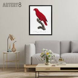 "Artery8 The Cardinal Lory Parrot Francois Levaillant Framed Canvas Wall Art in White - Size: W12"" x H16""" - thumbnail 3