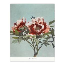 Artery8 Ogawa Kazumasa Framed Wall Art Print Tree Peonies Pink Flower Blooms in Blue - Size: A4 - thumbnail 3