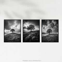 Artery8 Wall Art Print Set of 3 Lone Tree on a Hill Black & White Photographs Countryside Field Landscape Living Room Poster s Pack - thumbnail 5