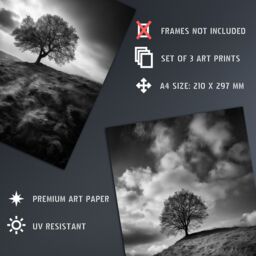 Artery8 Wall Art Print Set of 3 Lone Tree on a Hill Black & White Photographs Countryside Field Landscape Living Room Poster s Pack - thumbnail 4