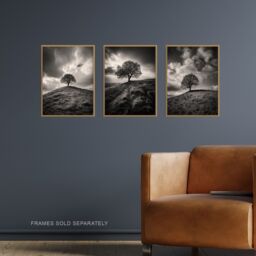 Artery8 Wall Art Print Set of 3 Lone Tree on a Hill Black & White Photographs Countryside Field Landscape Living Room Poster s Pack - thumbnail 2