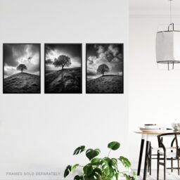 Artery8 Wall Art Print Set of 3 Lone Tree on a Hill Black & White Photographs Countryside Field Landscape Living Room Poster s Pack - thumbnail 3