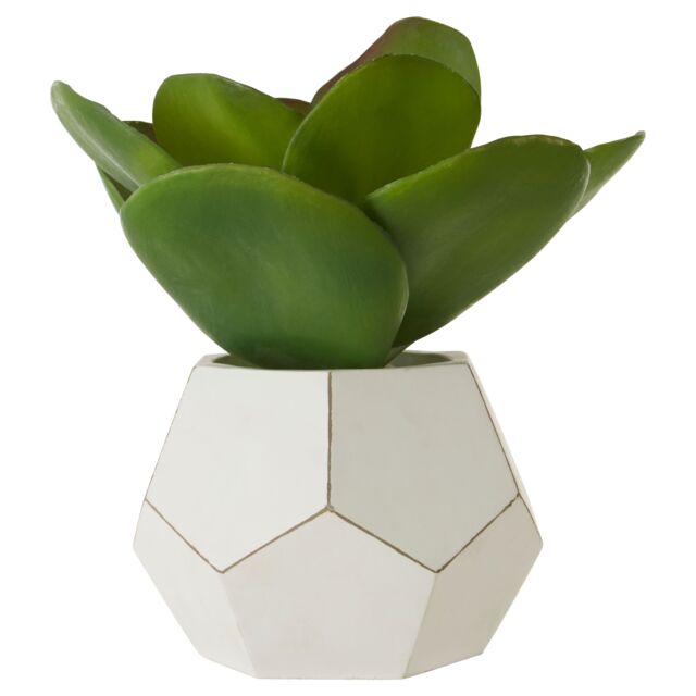 Orsina Fiori White Cement Pot Faux Succulent, Decorative Artificial Plant with 3D Concrete Pot, Faux Botanical - image 1
