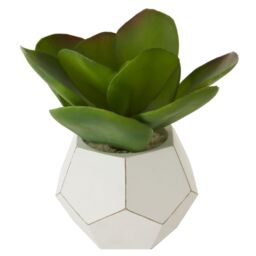 Orsina Fiori White Cement Pot Faux Succulent, Decorative Artificial Plant with 3D Concrete Pot, Faux Botanical - thumbnail 2