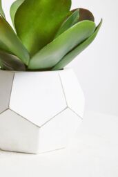 Orsina Fiori White Cement Pot Faux Succulent, Decorative Artificial Plant with 3D Concrete Pot, Faux Botanical - thumbnail 5