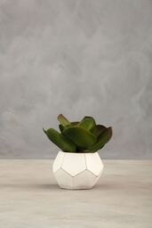 Orsina Fiori White Cement Pot Faux Succulent, Decorative Artificial Plant with 3D Concrete Pot, Faux Botanical - thumbnail 6