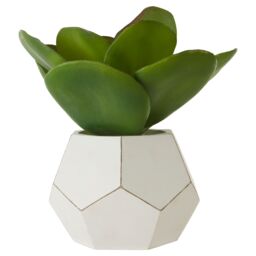 Orsina Fiori White Cement Pot Faux Succulent, Decorative Artificial Plant with 3D Concrete Pot, Faux Botanical