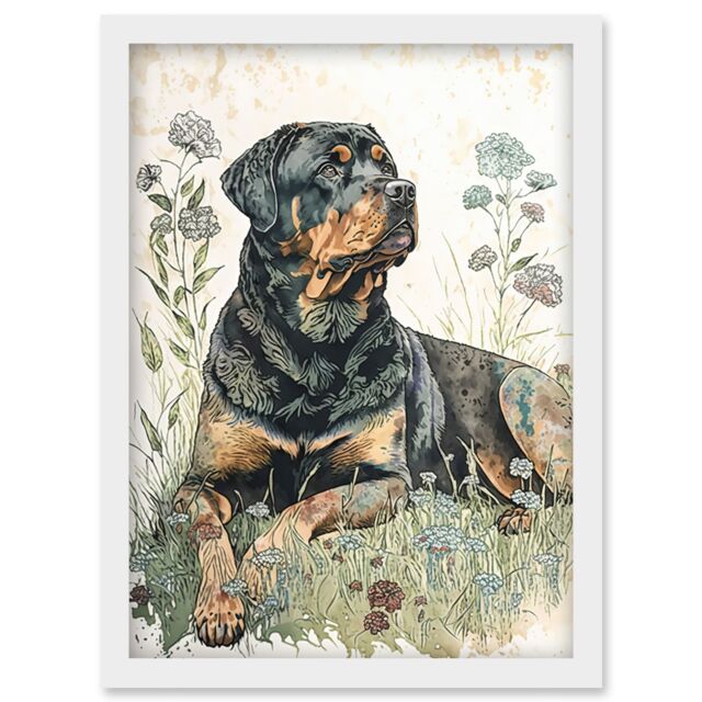 Artery8 Rottweiler Dog Lying in Wildflowers Bright Watercolour Illustration Artwork Framed Wall Art Print A4 in White - image 1