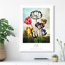 ARTZE Vintage Floral Exhibition - Tulip Flowers Framed Print SIZE: A2 with White Frame in Red - Size: A4 - thumbnail 2