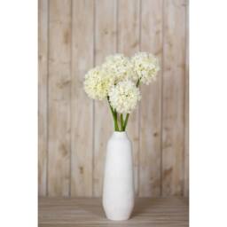 Sostter Cream Allium Faux Flower Stem for Stylish Home Decor - thumbnail 4