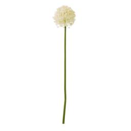 Sostter Cream Allium Faux Flower Stem for Stylish Home Decor - thumbnail 1