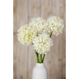 Sostter Cream Allium Faux Flower Stem for Stylish Home Decor - thumbnail 5