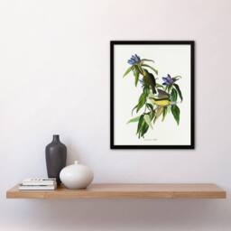 Artery8 John James Audubon Framed Wall Art Print Connecticut Warbler Bird in White - Size: A4 - thumbnail 2
