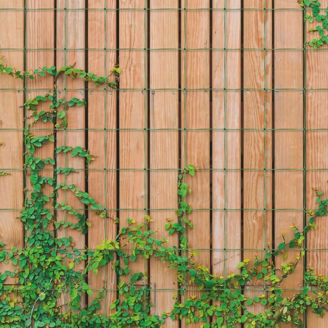 mysmartbuy Garden Netting - Outdoor Polypropylene Trellis Mesh Net Support for Climbing Plants, Tall Flowers, Vegetables, Fruits - 1.7 x 4M in Green - image 1