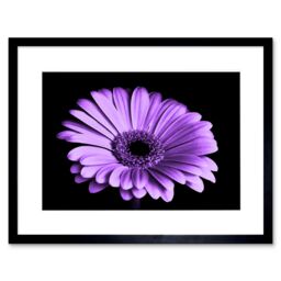 "Artery8 Wall Art Print Close-up Purple Flower Framed in Black - Size: W7"" x H9""" - thumbnail 1