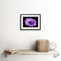 "Artery8 Wall Art Print Close-up Purple Flower Framed in Black - Size: W7"" x H9""" - thumbnail 2