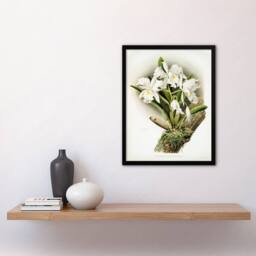 Artery8 Frederick Sander Cattleya Rochellensis Orchid Flowers Framed Art Print - Size: A4 - thumbnail 4